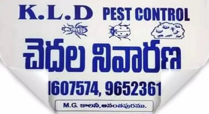 KLD Pest Control in MG Colony, Anantapur