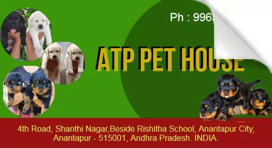 Pets And Pet Accessories in Anantapur  : ATP Pet House in Shanthi Nagar