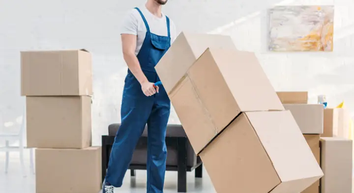 Packers And Movers in Bhopal  : Global Packers and Movers in Indus Town