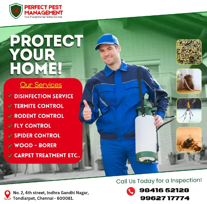 Perfect Pest Management in Tondiarpet