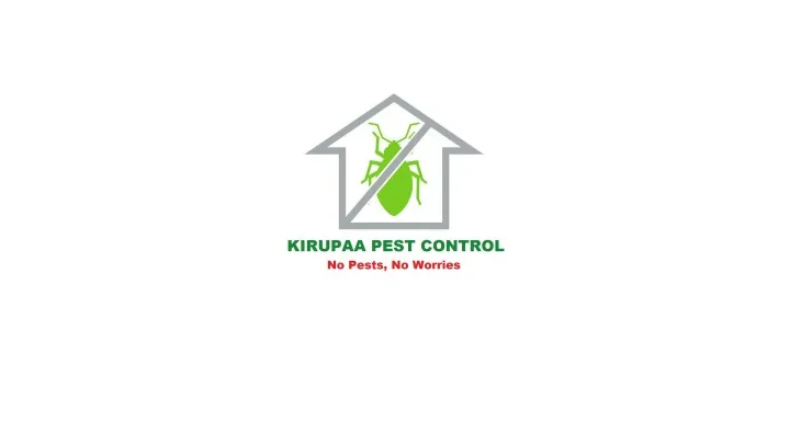 Pest Control Services in Chennai (Madras) : Kirupa Pest Control Service in Maduravayol