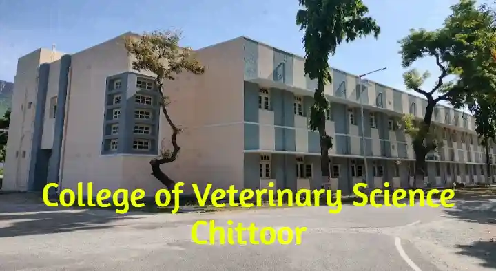 Colleges in Chittoor  : College of Veterinary Science in Prakasam Nagar Colony