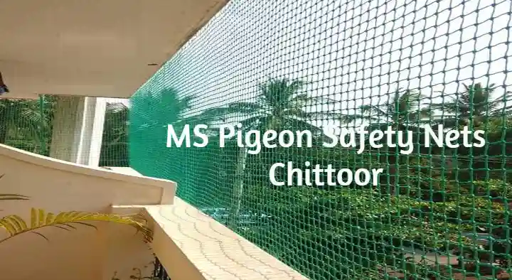 MS Pigeon Safety Nets in Kothapeta, Chittoor
