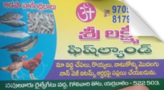 Sea Food Dealers in Guntur  : Sri Lakshmi Fish Land in Mangalagiri