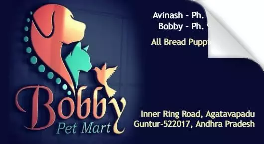 Pet Food And Accessories Shop in Guntur  : Bobby Pet Mart in Agatavapadu