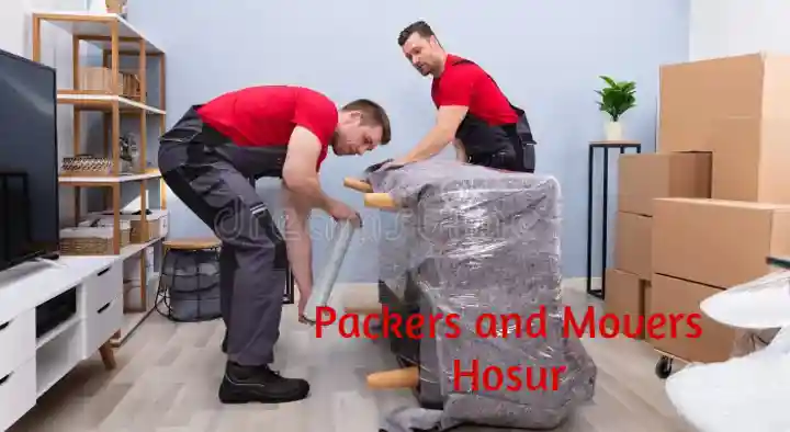 Packers and Movers in hisar, Hosur