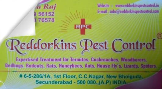 Pest Control Service For Termite in Hyderabad  : Reddorkins Pest Control in New Bhoiguda