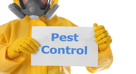 Pest Control Services For Worms in Hyderabad  : Pestocure Pest Control Services in Kondapur