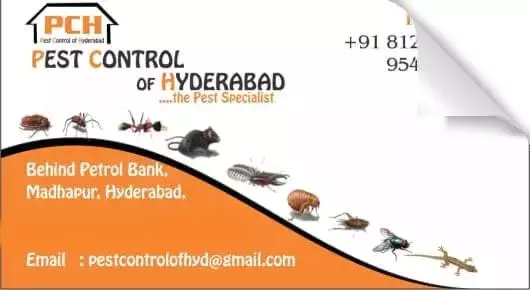Pest Control For Cockroach in Hyderabad  : Pest Control of Hyderabad in Madhapur