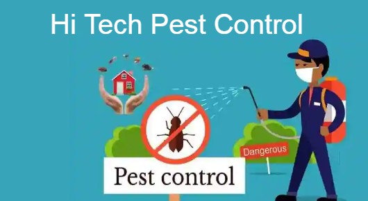 Hi Tech Pest Control in Manikonda, Hyderabad