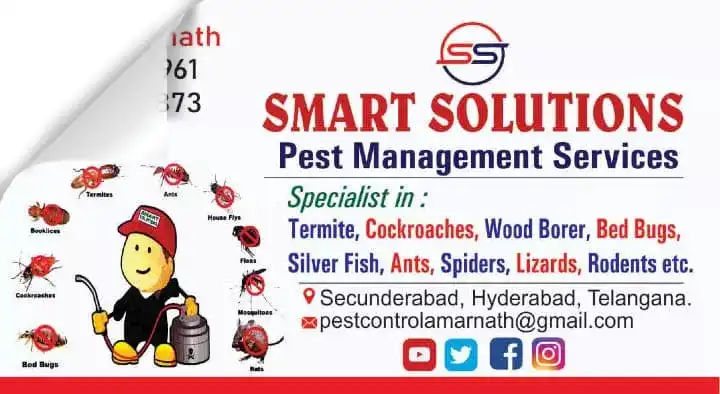 Pest Control Service For Bed Bugs in Hyderabad  : Smart Solutions Pest Management Services in Secunderabad