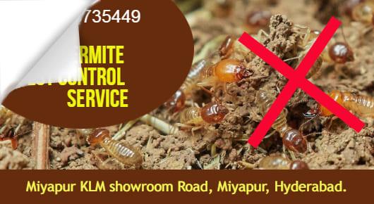 Residential Pest Control Service in Hyderabad  : Termite Pest Control Service in Miyapur