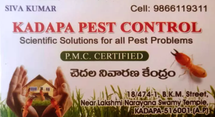 Pest Control Service For Lizard in Kadapa  : Kadapa Pest Control in BKM Street