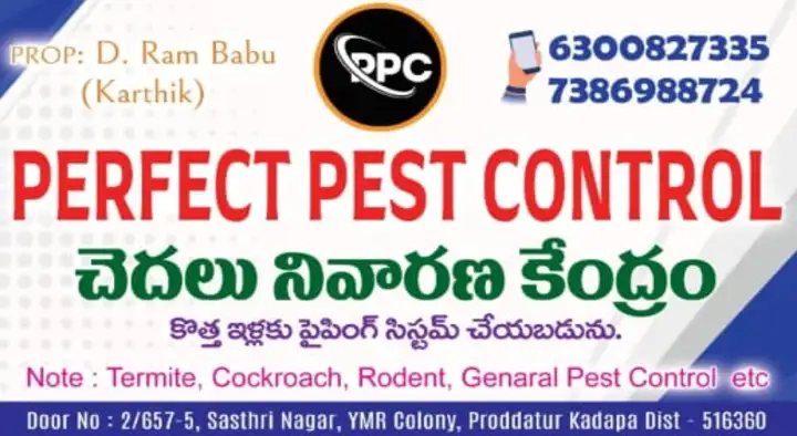 Perfect Pest Control in Proddatur