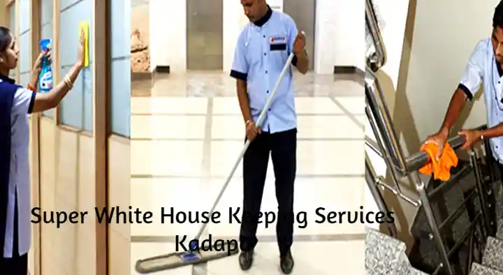 Super White House Keeping Services in Ganagapeta, Kadapa