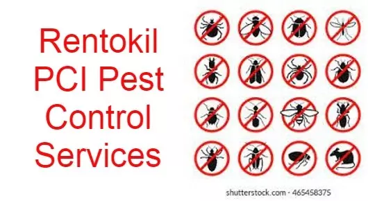 Rentokil PCI Pest Control Service in Amman Sannathi Street, Kanchipuram
