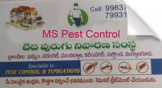 Pest Control Service For Bed Bugs in Khammam  : MS Pest Control in Raparthi Nagar