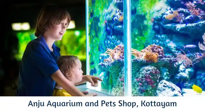 Anju Aquarium and Pets Shop in Moolavattom, Kottayam