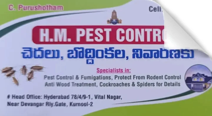 Pest Control Service For Termite in Kurnool  : HM Pest Control in Vital Nagar
