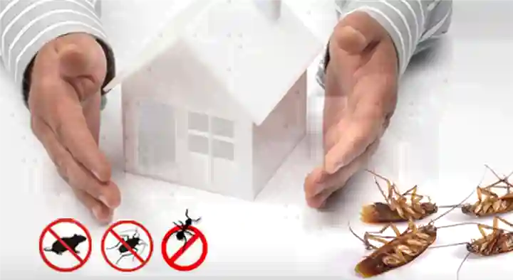 Pest Control Services in Mahabubnagar  : Sri Chakra Pest Control in Laxmipuram Colony