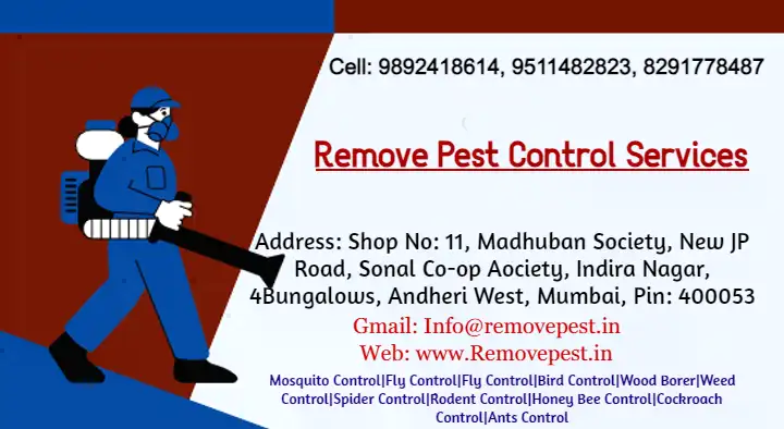 Pest Control Service For Termite in Eluru  : Remove Pest Control Services in Andheri West