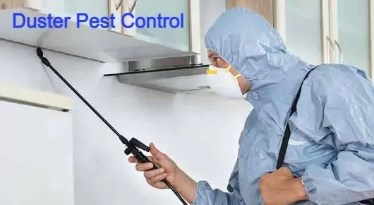 Duster Pest Control in East Coast Road, Nagapattinam
