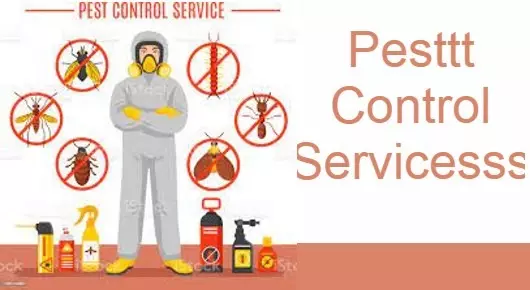 Pest Control Services in Nagercoil  : Pesttt Control Servicesss in Vadasery
