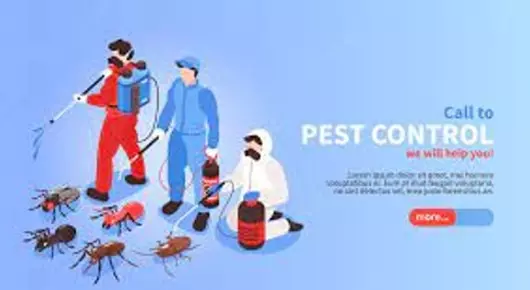 Pest Control Services in Nagercoil  : Pest Control Professionals in Maravankudieruppu