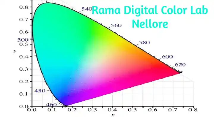 Rama Digital Colour Lab in Stonehouse Peta, Nellore