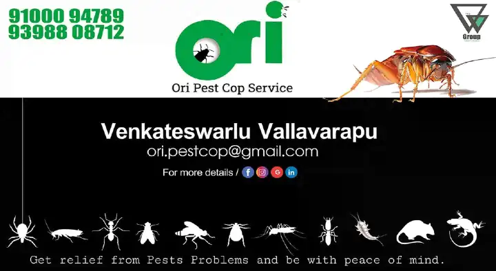 Pest Control Services in Nellore  : Ori Pest Cop Services in Padmavathi Nagar