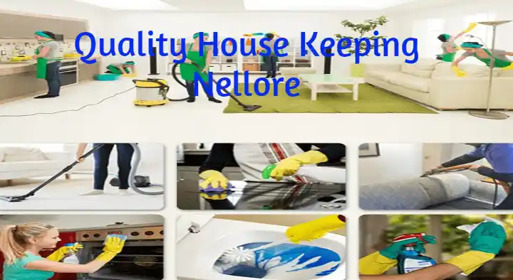 Quality House Keeping in Kapatipalem, Nellore