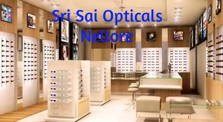 Optical Shops in Nellore  : Sri Sai Opticals in Dargamitta