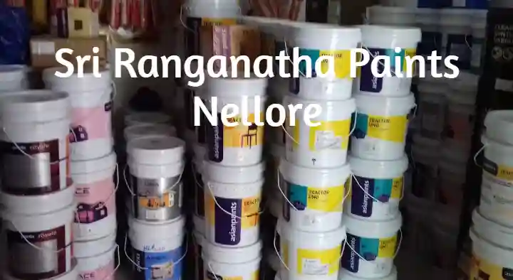 Paint Shops in Nellore  : Sri Ranganatha Paints in Santhapeta