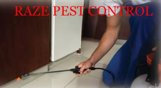Pest Control Services in Nellore  : RAZE PEST CONTROL in Dargamitta