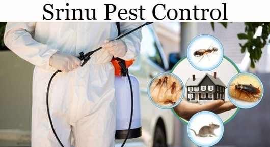 Srinu Pest Control in Ramesh Reddy Nagar, Nellore