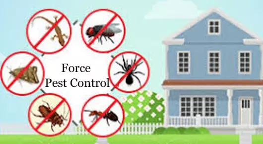 Force Pest Control in VRC Centre, Nellore