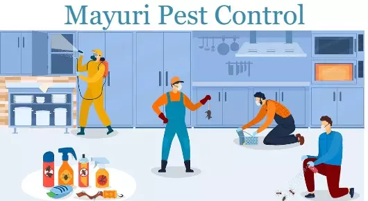 Mayuri Pest Control in Pogathota, Nellore