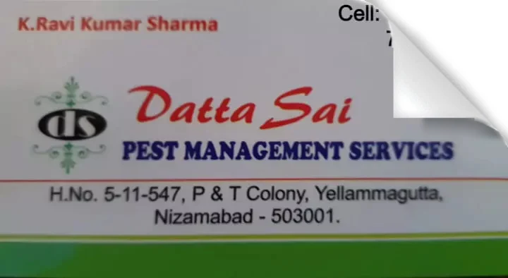 Pest Control Service For Bed Bugs in Nizamabad  : Datta Sai Pest Management Services in Yellammagutta