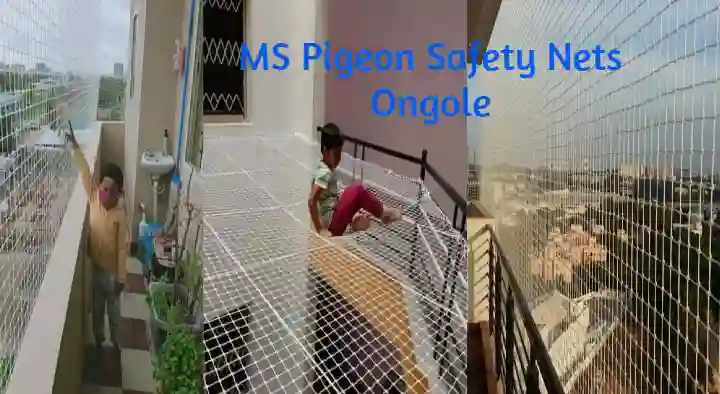 Fencing Products in Ongole  : MS Pigeon Safety Nets in Anjaiah Road