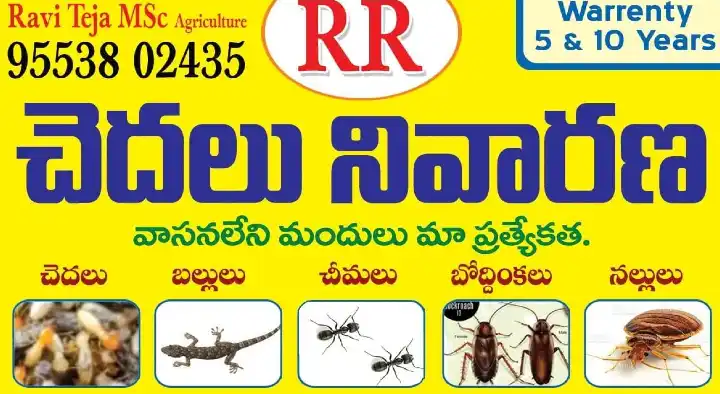 Pest Control Service For Lizard in Ongole  : RR Pest Control and Sanitation in Kurnool Road