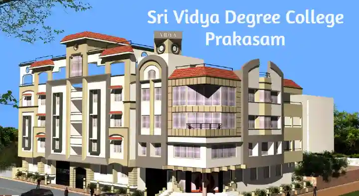 Sri Vidya Degree College in Paparajuthota, Prakasam