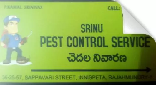 Pest Control Services in Rajahmundry (Rajamahendravaram) : Srinu Pest Control Service in Innespeta