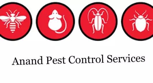 Anand Pest Control Services in Jampet, Rajahmundry