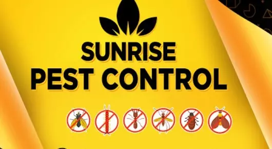 Sun Rise Pest Control in Rajahmundry, Rajahmundry