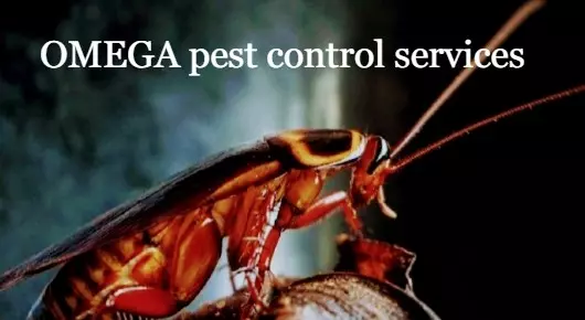 Pest Control Services in Rajahmundry (Rajamahendravaram) : OMEGA Pest Control Services in Nehru nagar