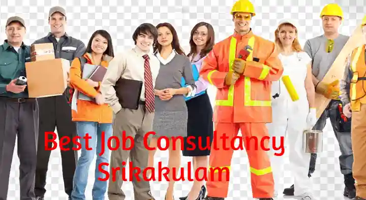 Manpower Agencies in Srikakulam  : Best Job Consultancy in Balaga Mettu