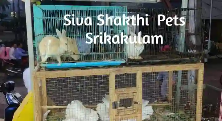 Pet Shops in Srikakulam  : Siva Shakthi  Pets in Mehar Nagar