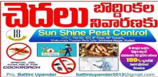 Pest Control Service For Ants in Suryapet  : SUNSHINE PEST CONTROL SERVICES in Kodad