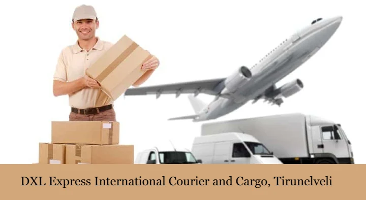 DXL Express International Courier and Cargo in VANNARPATTAI, Tirunelveli