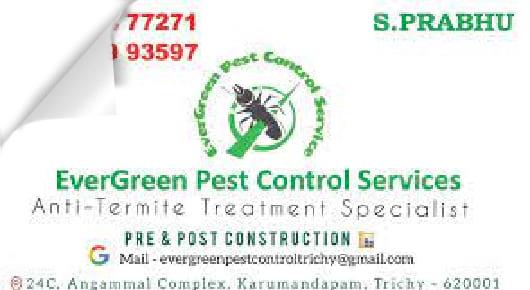 Pest Control Services in Tiruchirappalli (Trichy) : Ever green Pest Control Services in Karumandapam